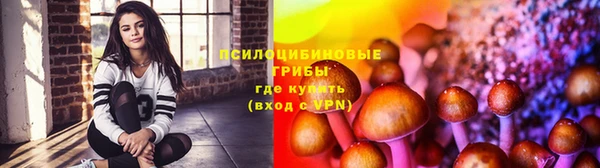 тгк Аркадак