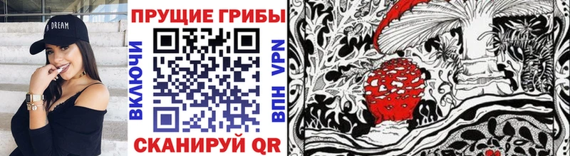 Псилоцибиновые грибы Psilocybine cubensis Поронайск